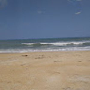 Meet your Posher, Brian carl